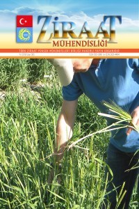 Ziraat Mühendisliği