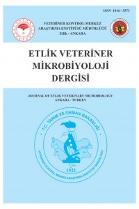Journal of Etlik Veterinary Microbiology